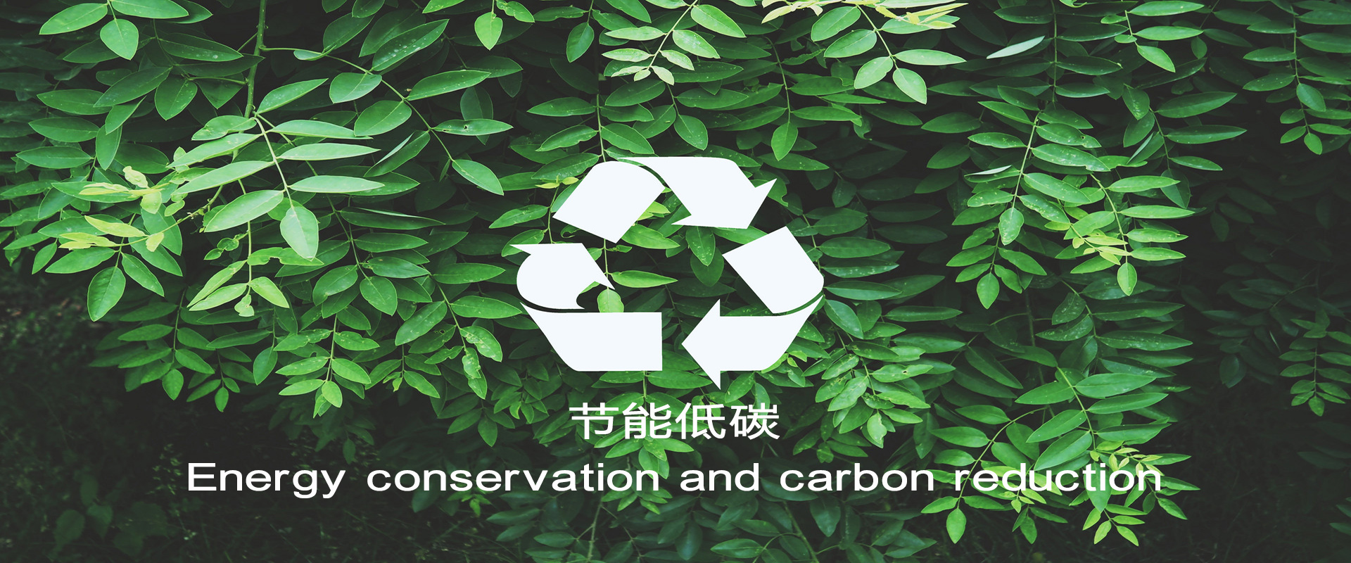 k豆钱包 - 官网
